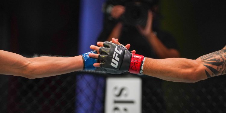 2XCEG2M UFC fighters glove touched